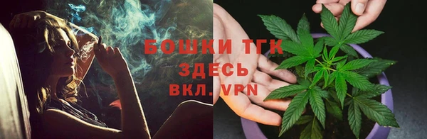 стаф Балахна