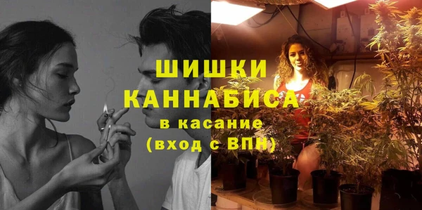 стаф Балахна