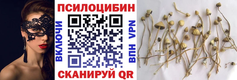 сколько стоит  hydra tor  Галлюциногенные грибы мицелий  Верея 